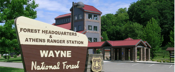 Wayne National Forest