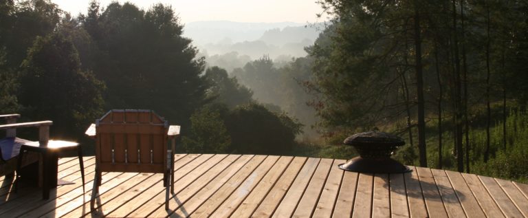 Bodi Tree outside 2 768x317