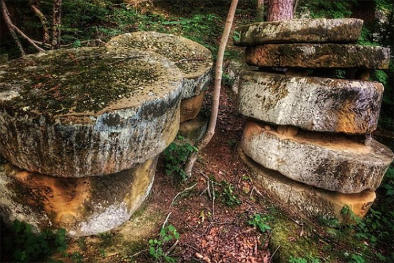 Acadia Cliffs Wildlife Area