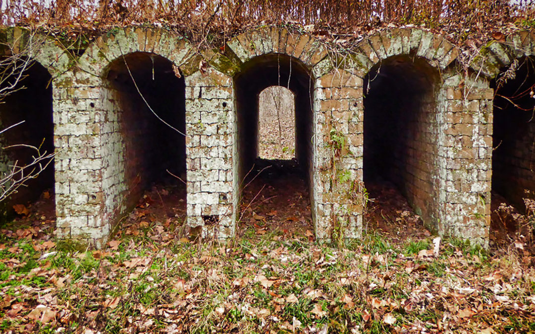 Vinton Furnace State Forest