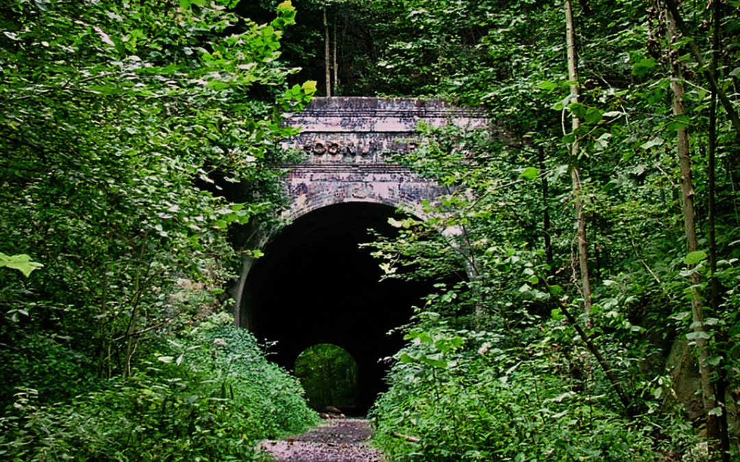 Zaleski State Forest