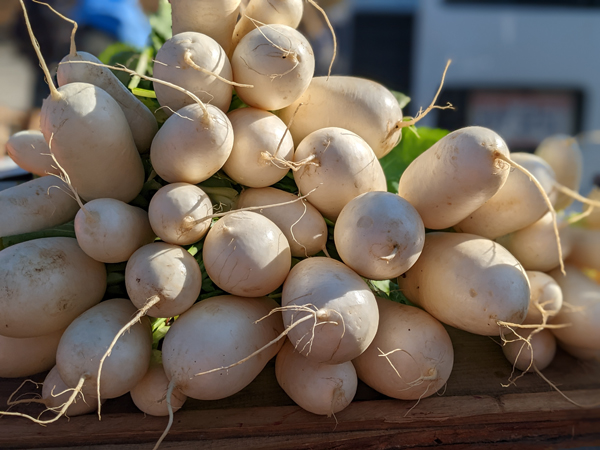 PXL 20221119 160730197.PORTRAIT