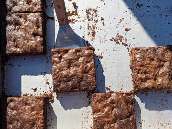 PXL 20230204 161923875.PORTRAIT