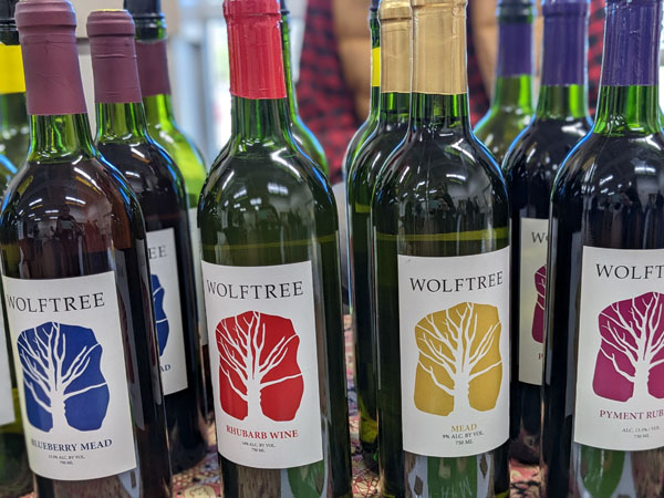 PXL 20230211 143601284.PORTRAIT