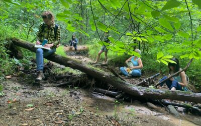 The Early Fall Nature Writing Workshop