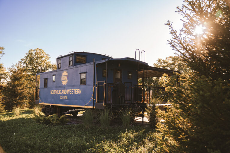 LittleBlue 001 768x512