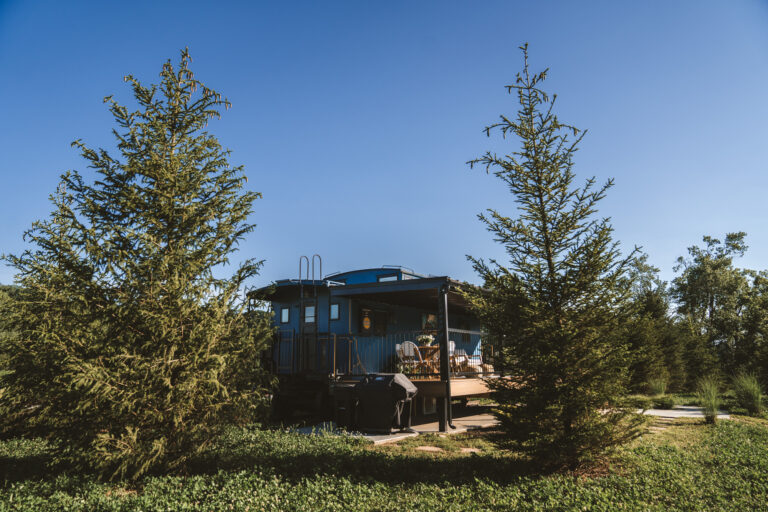 LittleBlue 012 768x512