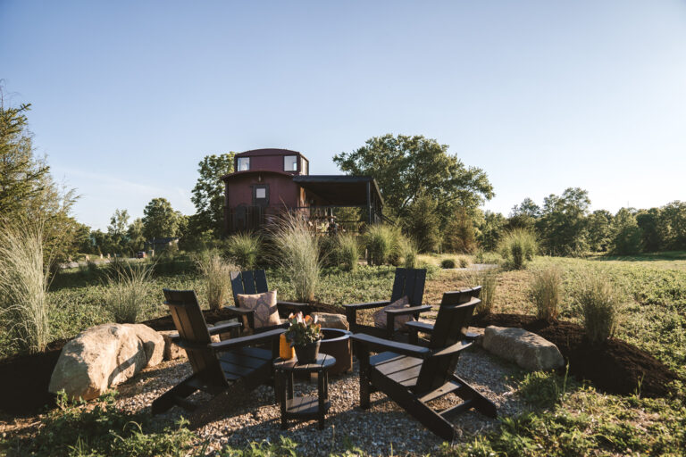 LittleBrown 018 768x512