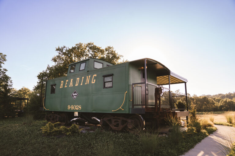 LittleGreen 001 768x512