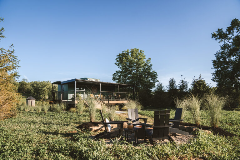 LittleGreen 016 768x512