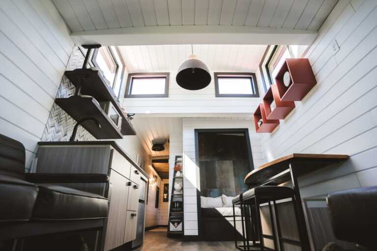 LittleRed 005 768x512