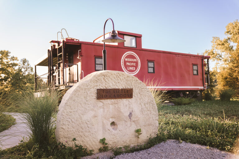 LittleRed 022 768x512