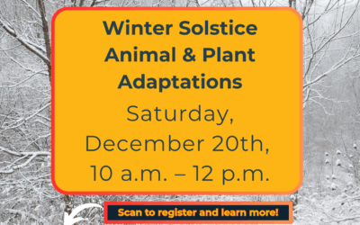 December Guided Hike- Winter Solstice: Animal & Plant Adaptations
