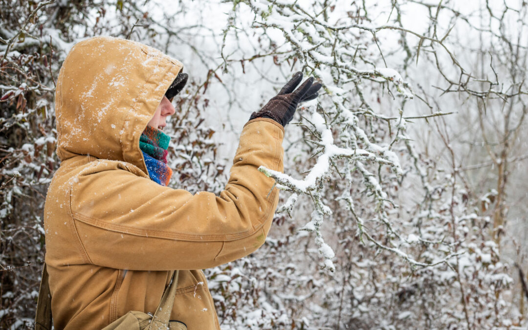 February Guided Hike- Winter Adaptations