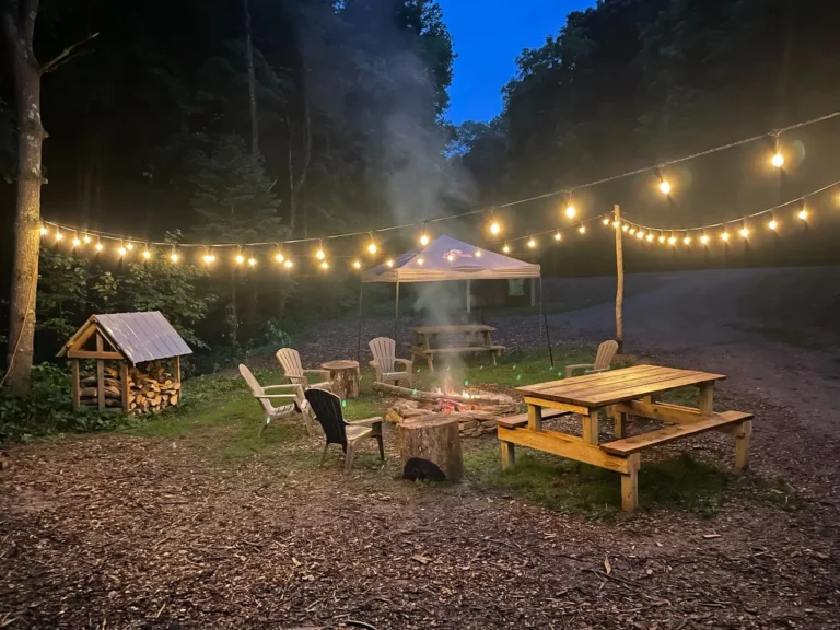 Campsite Fire pit 1 768x576