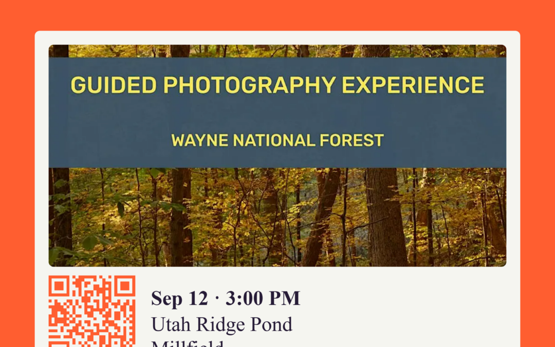 Guided Photography Experience