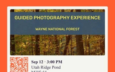 Guided Photography Experience