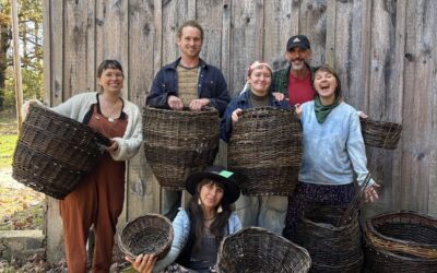 Two Day Rander; Willow Basktery Weaving Class