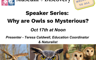 Speaker Series – “Why are Owls so Mysterious?”